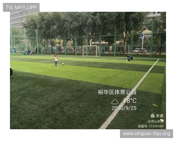 多米体育线上网址下载步骤详解，确保用户顺利体验丰富体育内容