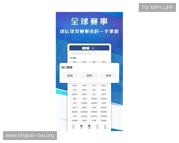新球体育电脑版下载最新版本，畅享高清赛事直播与丰富体育内容